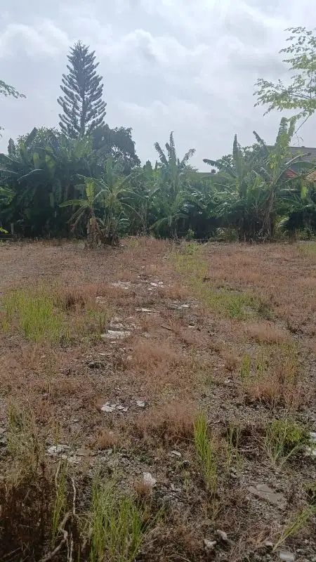 tanah kontrak termurah di seminyak jl Dewi saraswati