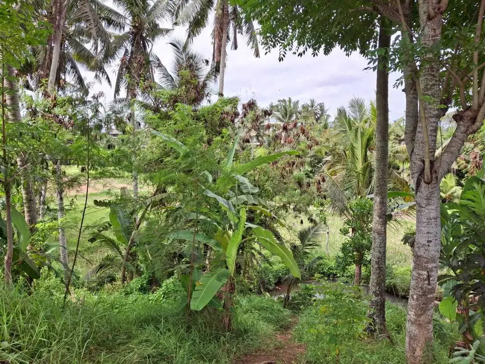 Dijual Tanah 23 are di daerah ubud