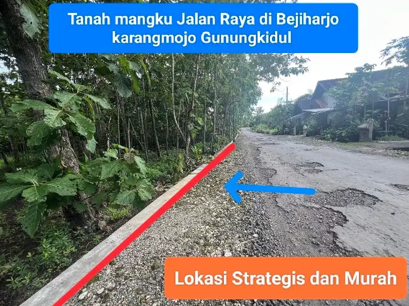 Jual tanah mangku jalan raya murah di Bejiharjo Gunungkidul