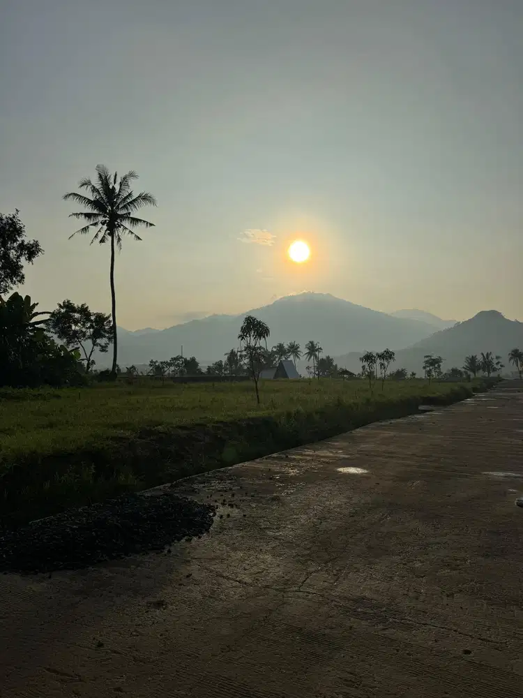 Jual Tanah 100-1000m di Bogor bisa di bangun rumah zona kuning