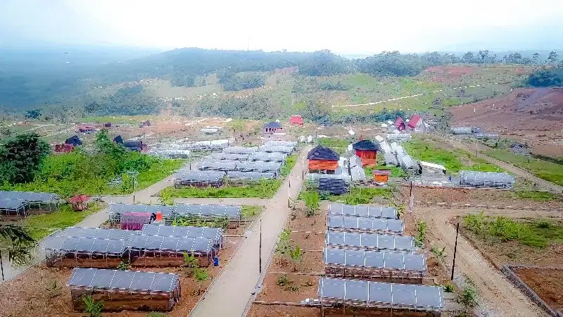 Tanah kavling villa dan Kebun anggur ekslusif Pinggir Jalan