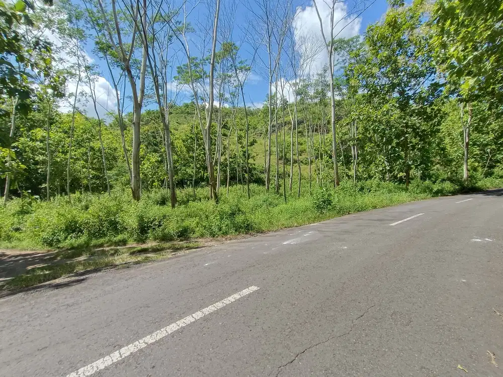 Jual tanah murah di Pinggir Jalan Raya Pantai Gunung Kidul