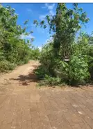 tanah loss tebing laut uluwatu - Thumbnail 4