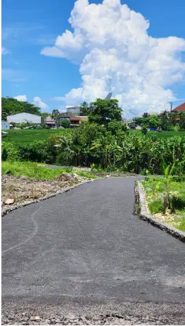 Tanah 2 Are di Kerobokan