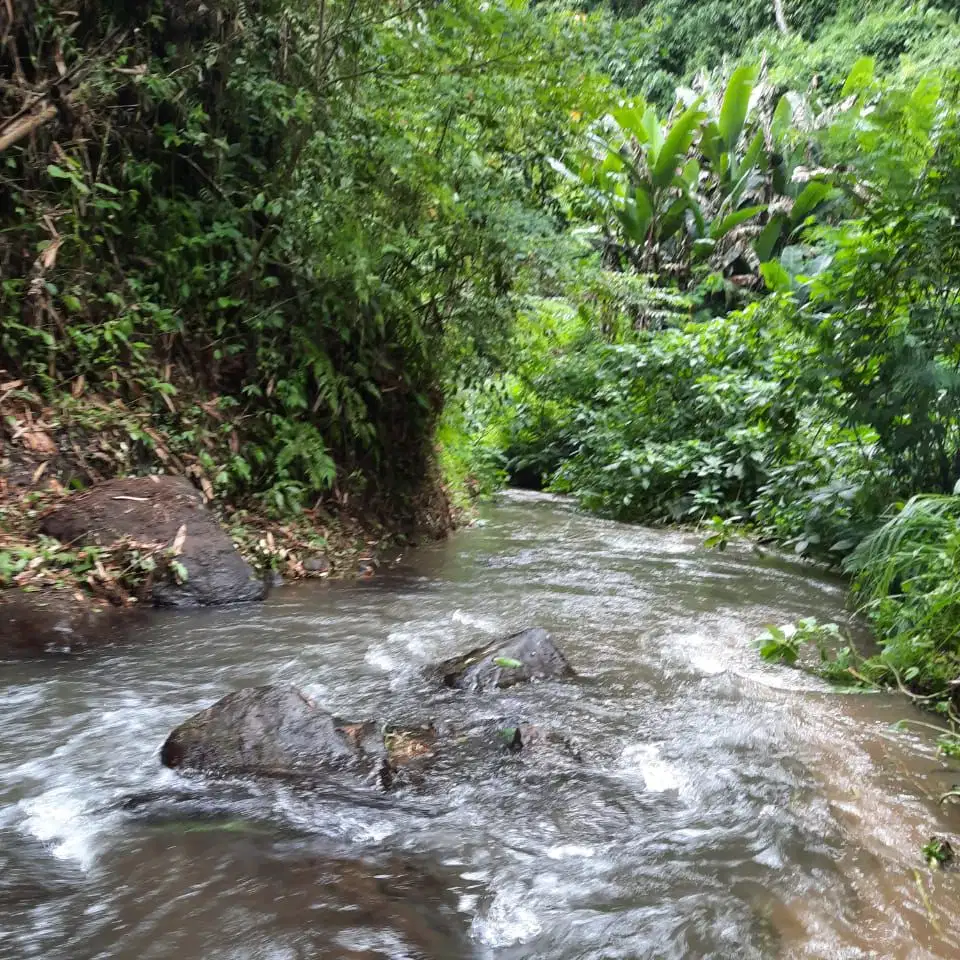 Dijual tanah Ubud Buahan Payangan was