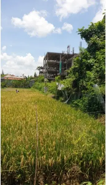 Tanah sewa 20 are di Seminyak