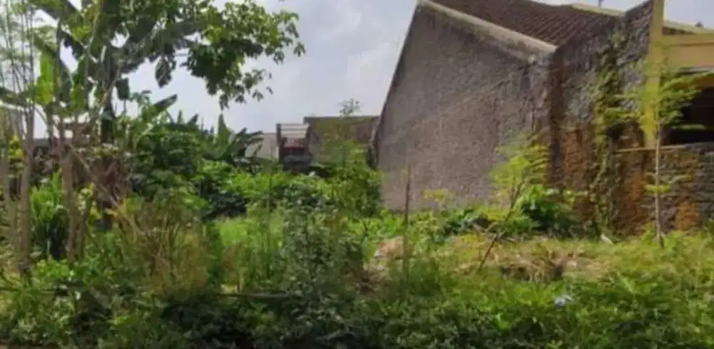 Pekarangan Kadipiro strategis.