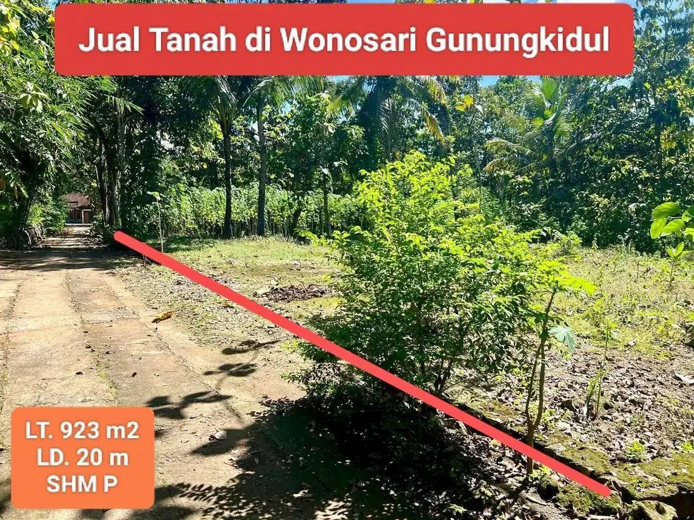 Jual Tanah Murah Di Dekat Kota Wonosari Gunung Kidul Pekarangan