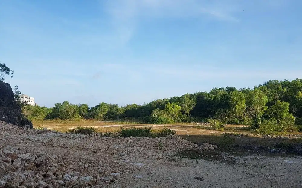 Dijual Tanah 11 Ha Pecatu