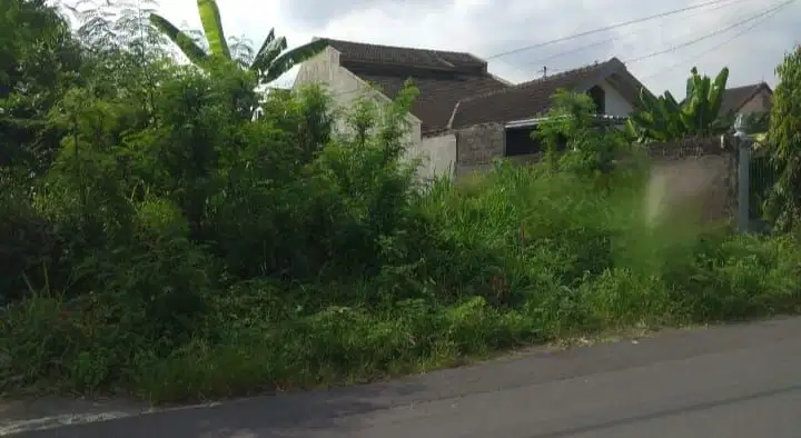 Dijual Tanah Pekarangan Jalan Jambon Kricak Yogyakarta