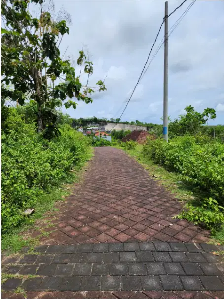 Land for lease ocean view ungasan