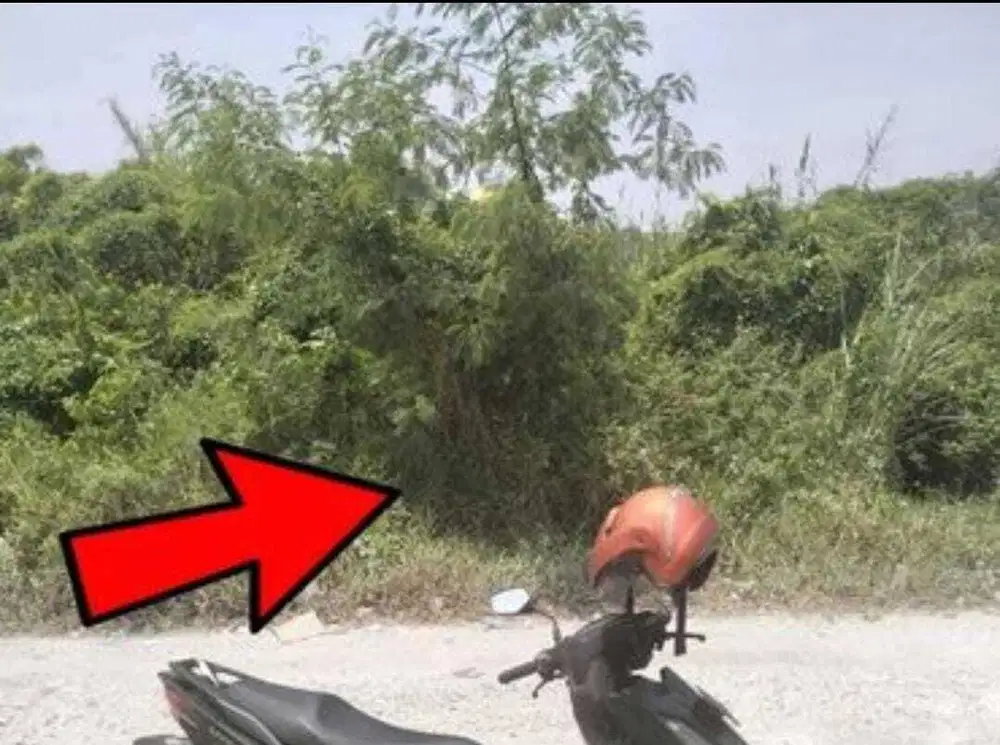 Bawah Pasaran‼️Tanah Murah Punggul Gedangan Sidoarjo