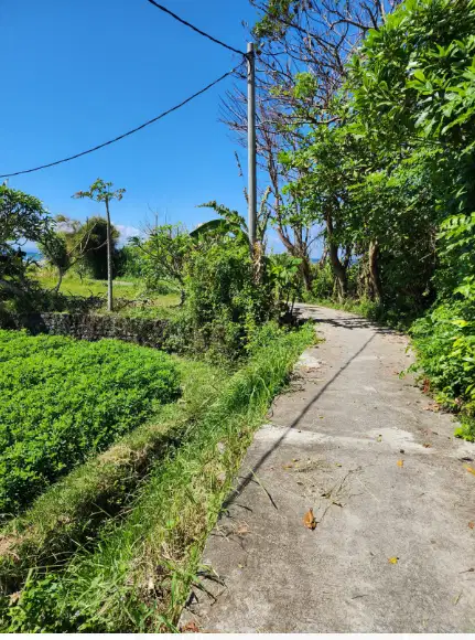 Tanah dekat Pantai Ketewel Gianyar Bali