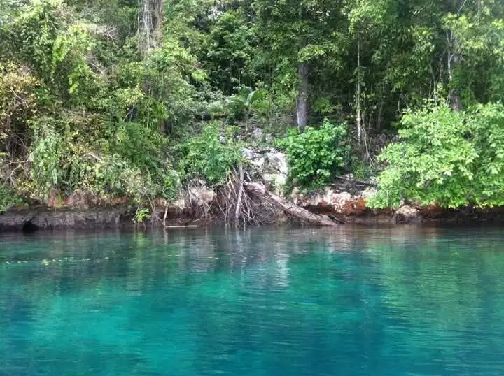 For  Rent Land Raja Ampat Papua Barat  1 Hektare Avaliable For 10 Hekta