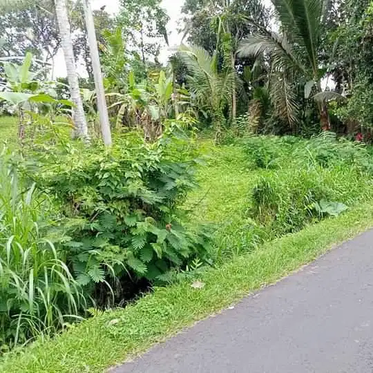 Dijual tanah Tabanan Penebel siap bangun aspek perumahan