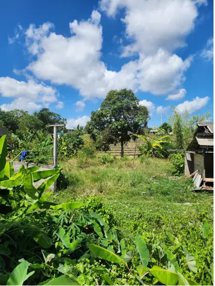 Tanah 18 Are di Berawa Canggu