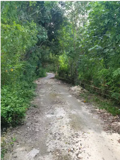 TANAH MURAH 5,6 HEKTAR DIBENOA KUTA SELATAN