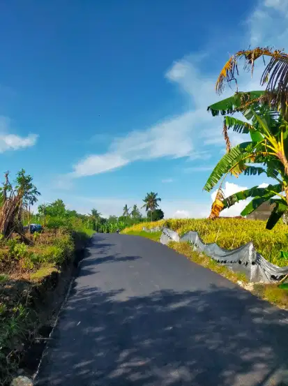 Tanah di Kedungu Tabanan