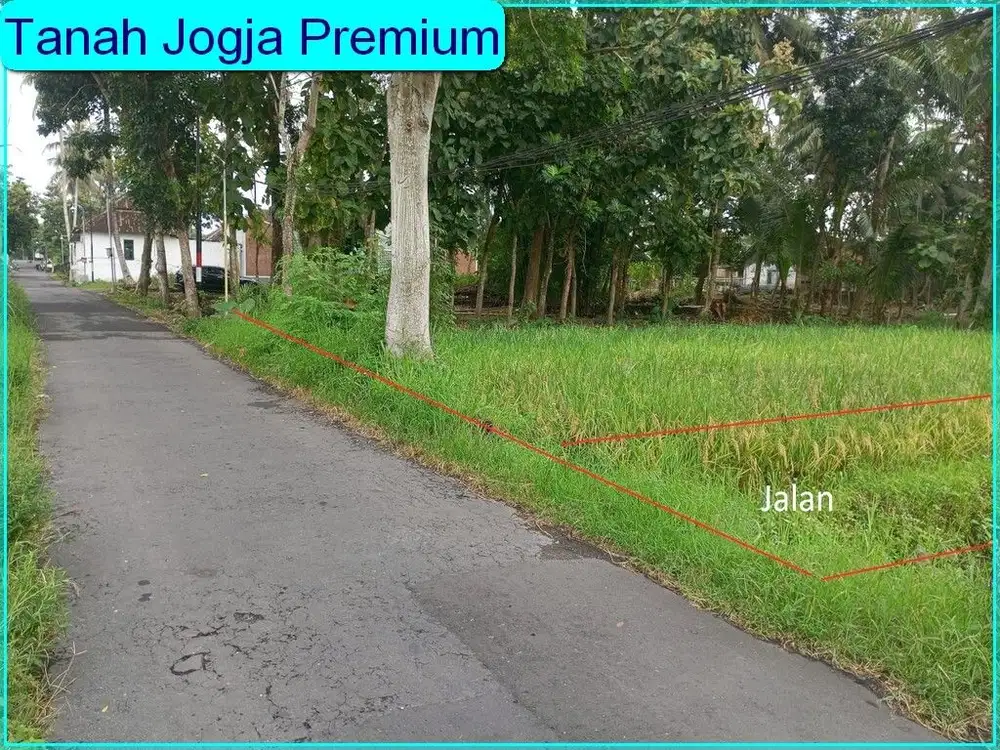 Jual Tanah Dekat Kampus UII Luas Tanah: 166 m