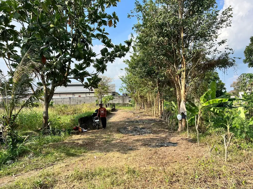 Tanah Dijual jl Palagan, Luas 177m2 Shm Pekarangan