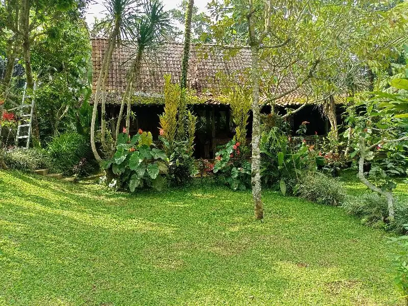 jual tanah Ubud Payangan bonus 4joglo Lt150are 135jt/are Nego