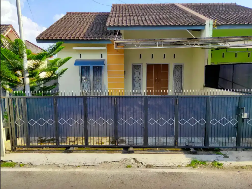 Rumah Minimalis Dikontrakkan