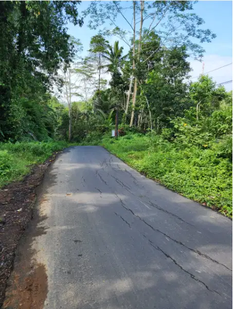 Tanah 6,4 Are di Tegalalang Ubud