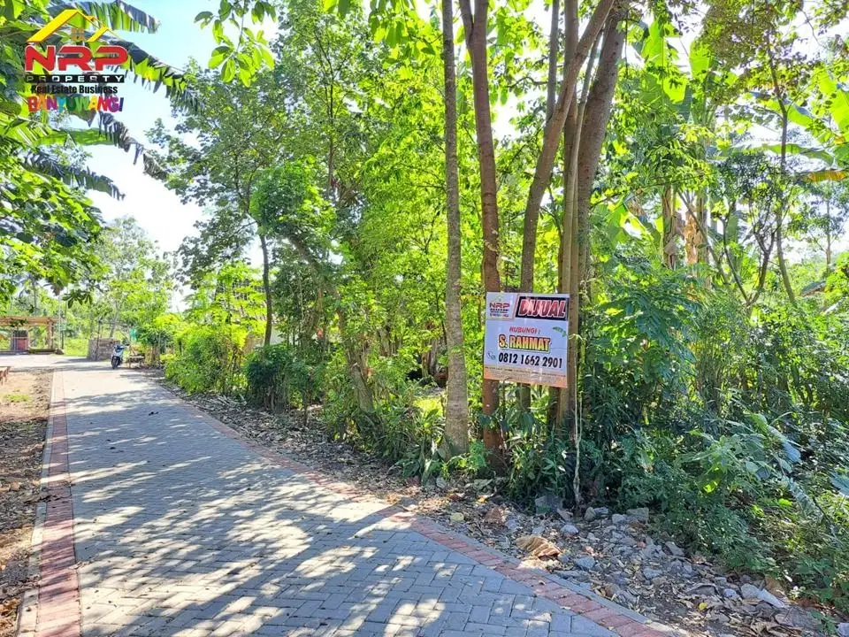 Dijual Tanah Murah 50 Meter dari Jl. Utama Pancoran  - Rogojampi