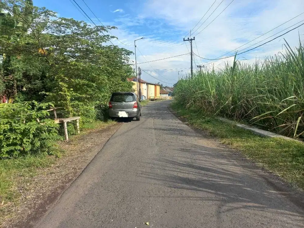 Dijual Lahan Pertanian Lokasi Kedung Sugo - Prambon Sidoarjo