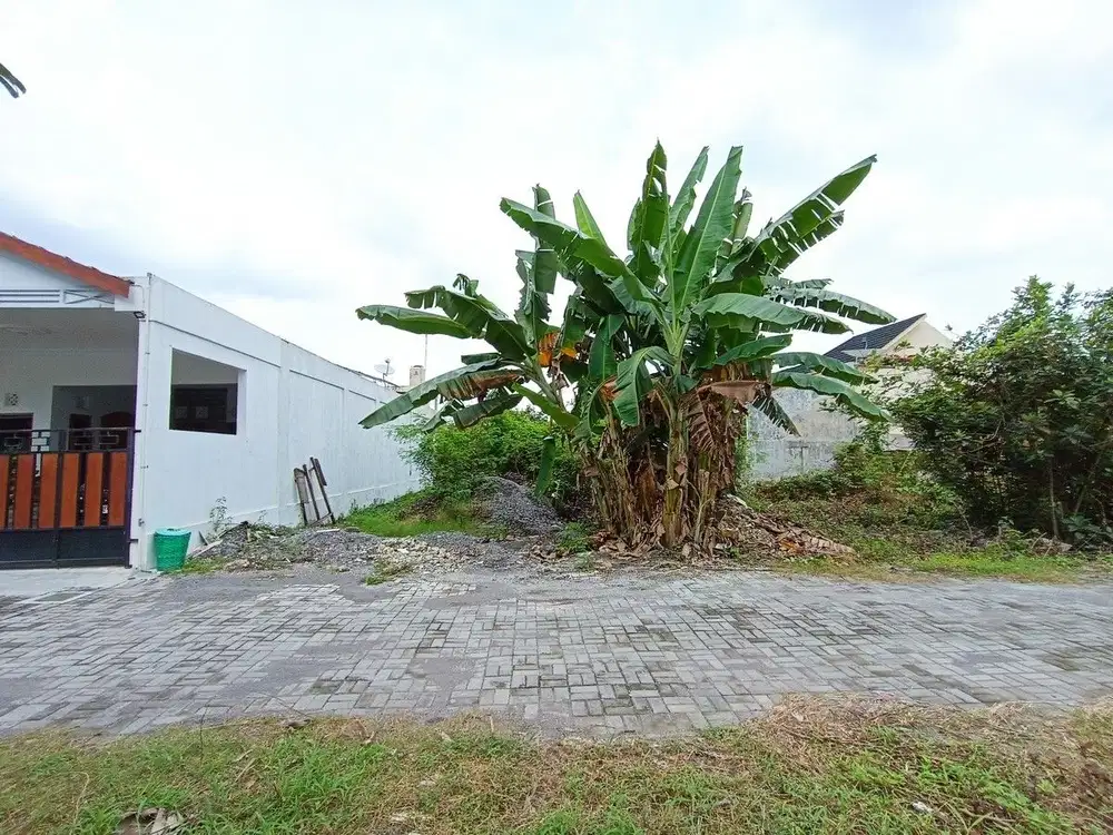 Dekat Pasar Kolombo Jual Tanah di Banteng Sleman Untuk Kost