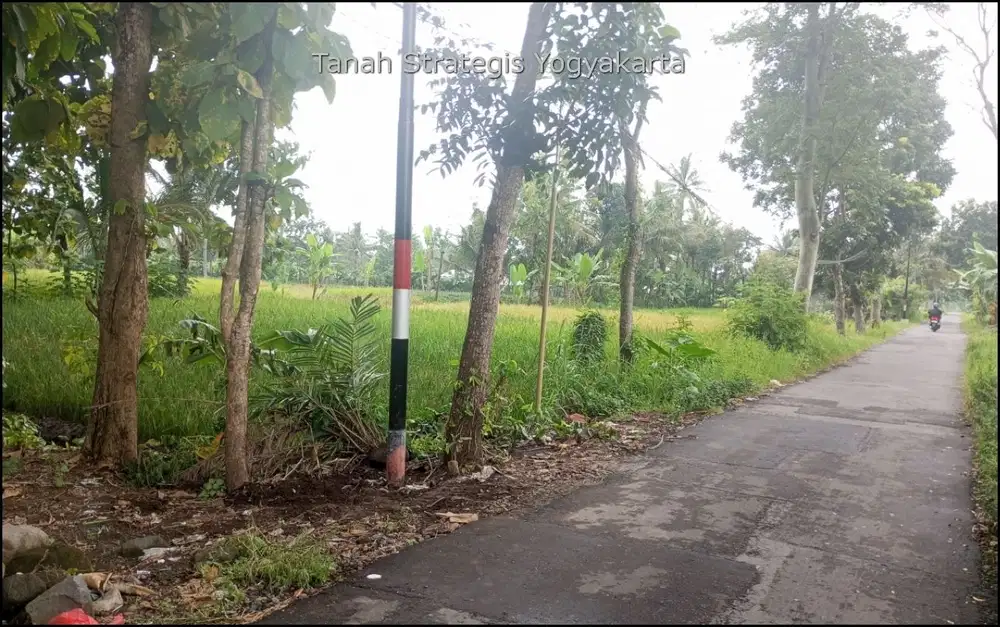 500m dari Jogja Eco Park, Tanah Dijual Jl. Palagan  Balong