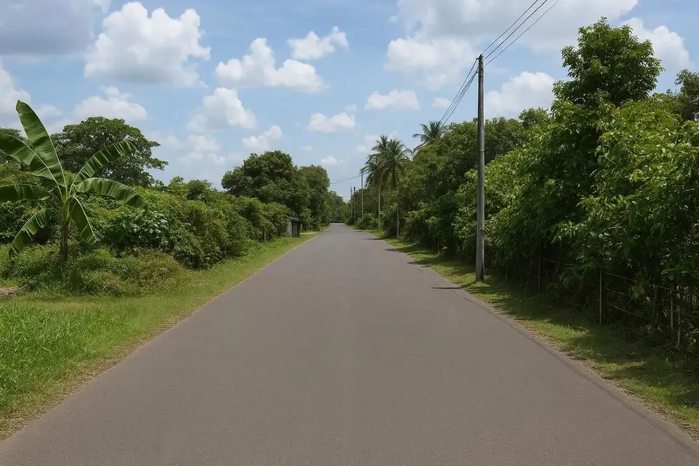 Tanah Maguwoharjo dekat Budi Mulia dijual Murah akses papasan