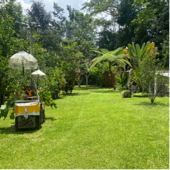Jual villa kebun dekat Ubud Payangan Gianyar 138 are