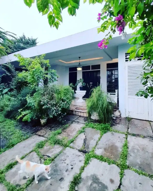 Di jual Rumah Asri Siap Huni