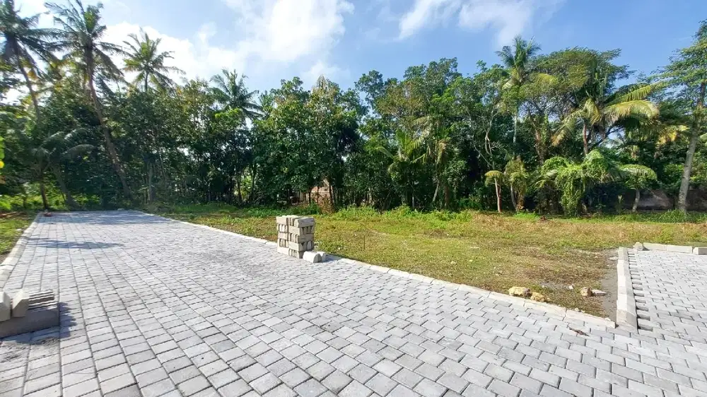 Tanah Murah di Pengasih, Lokasi Ideal untuk Hunian