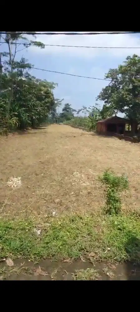 Di jual tanah murah pacet jolotundo