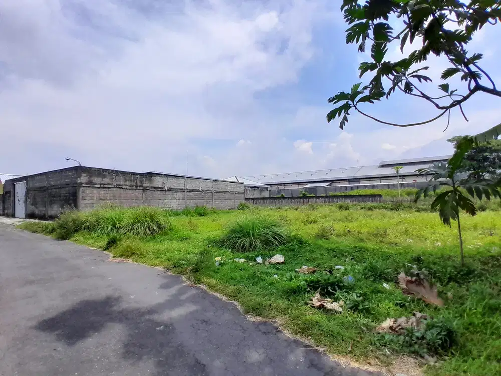 Dijual tanah jalan Palagan 10 dengan view sawah SM pekarangan