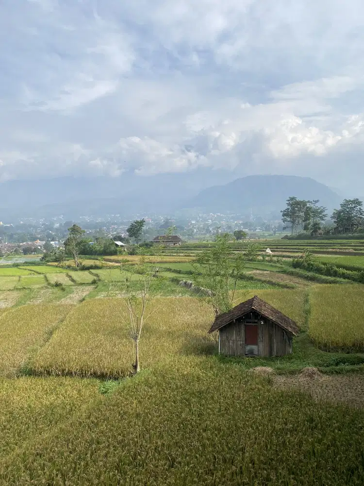 Jual tanah trawas pacet mojokerto