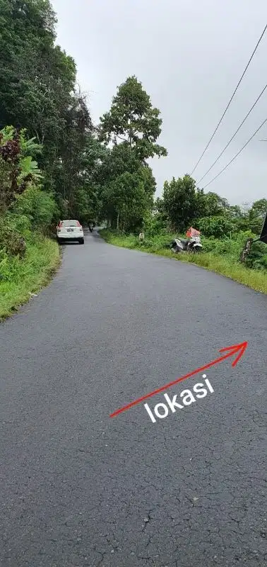 JUAL TANAH  2,4320 HEKTAR PAYANGAN,BUAHAN KAJA GIANYAR