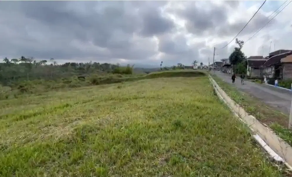 Tanah murah luas 2.57 ha di wagir malang bagus buat pondok, kebun, dll