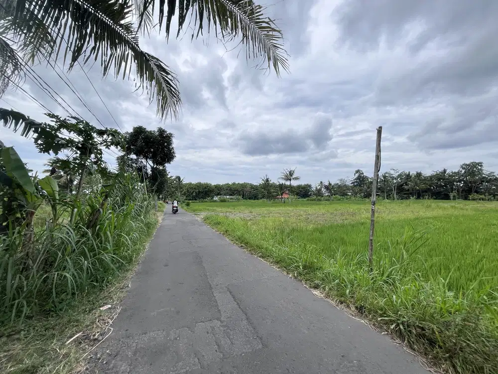 3 Km dari kampus UII Jogja, Tanah dijual siap bangun