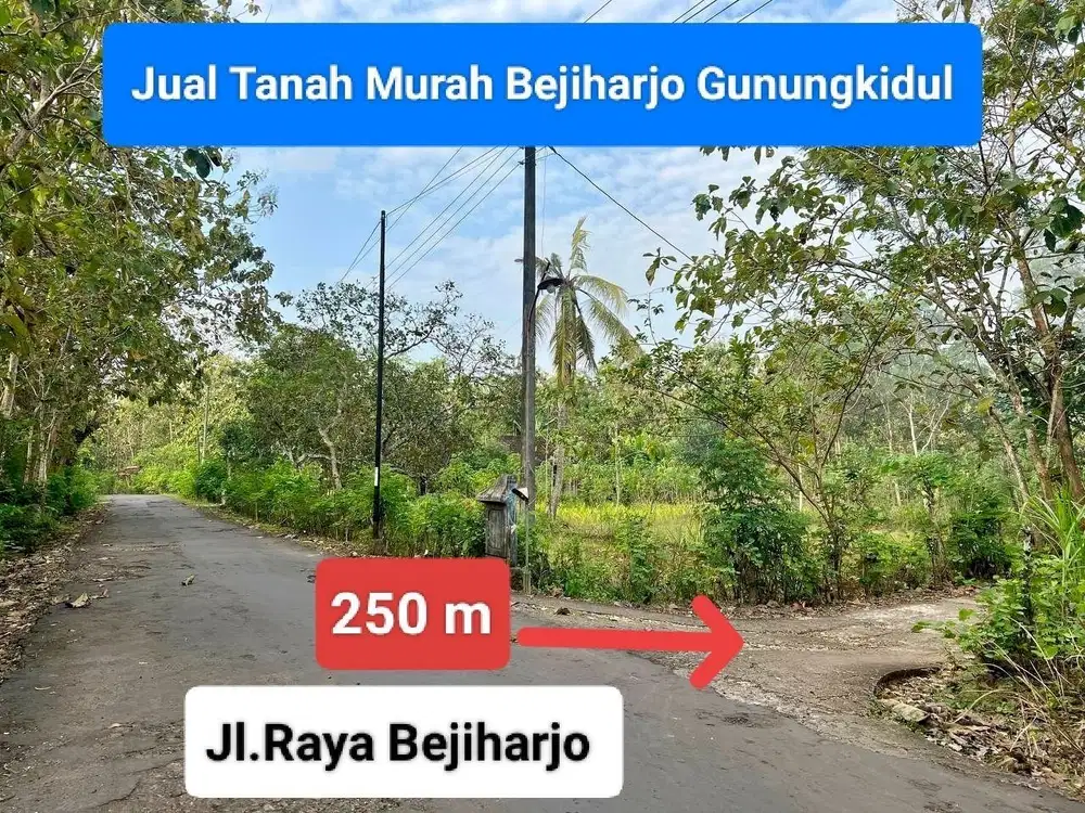 Jual tanah murah subur shm di Bejiharjo Karangmojo Gunung Kidul