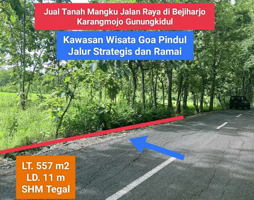 Jual tanah pinggir jalan raya murah di Bejiharjo Karangmojo Gunung Kid