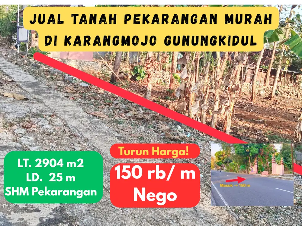 Jual tanah pekarangan murah di jatiayu karangmojo Gunung kidul