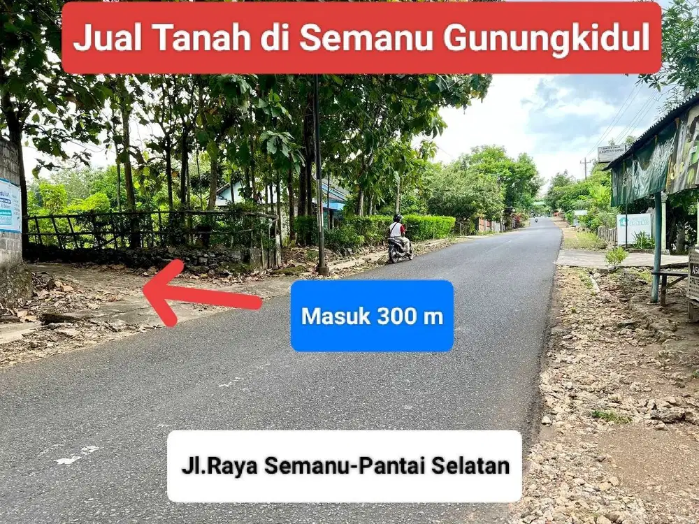 Jual Tanah murah subur kebun jati di Candirejo Semanu Gunung Kidul