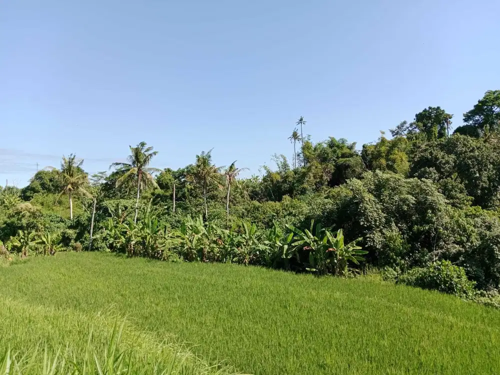 Tanah 12Ha Lokasi Bypass IB Mantra 39 Menit Menuju Airport Ngurah Rai