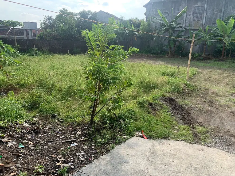 Tanah SHM Dekat Ringroad Utara, Cocok Untuk Kavlingan