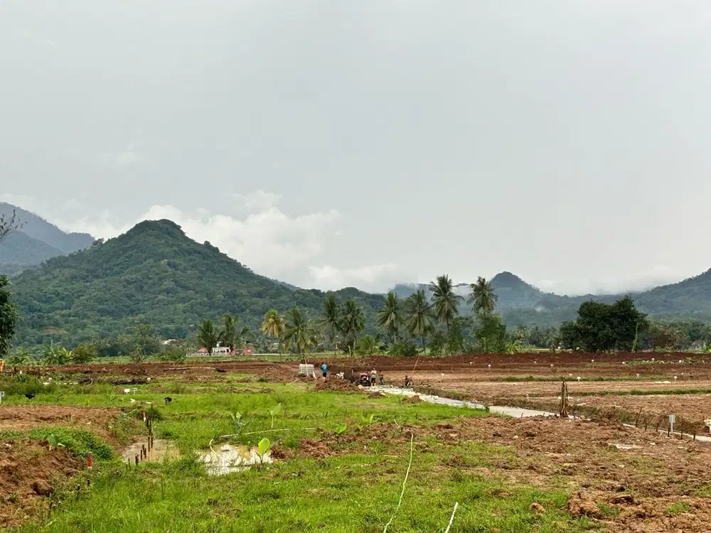 Jual Butuh Tanah Kavling Di Pinggir Jalan Propinsi dengan view pegunun