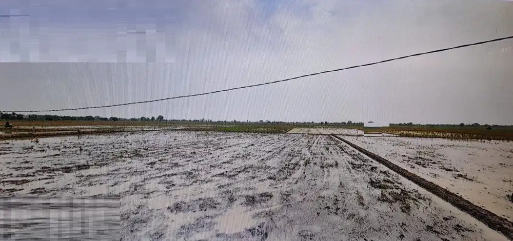 Dijual Lahan Sawah di Sukawangi, Kab. Bekasi
