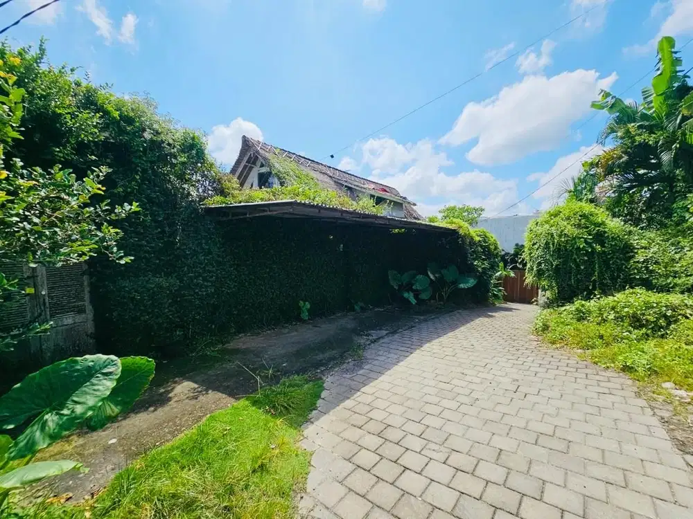 Tanah view sawah dalung bali